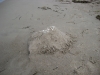 Sandburg am Strand von Ahrenshoop