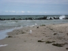 Strand von Ahrenshoop