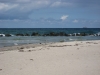 Strand von Ahrenshoop