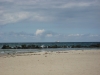 Strand von Ahrenshoop