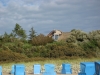 Ahrenshoop 2013
