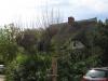 Haus in Ahrenshoop