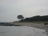 Strand in Ahrenshoop